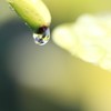 雨上がり