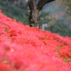 長浜市徳山町(草野川)Ⅰ
