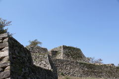 IMG_7980