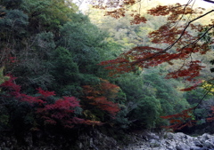 長門峡　パレットその２