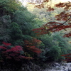 長門峡　パレットその２