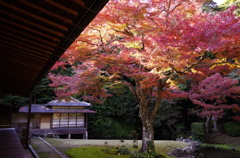 名勝　宗隣寺「龍心庭」