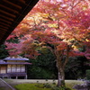 名勝　宗隣寺「龍心庭」