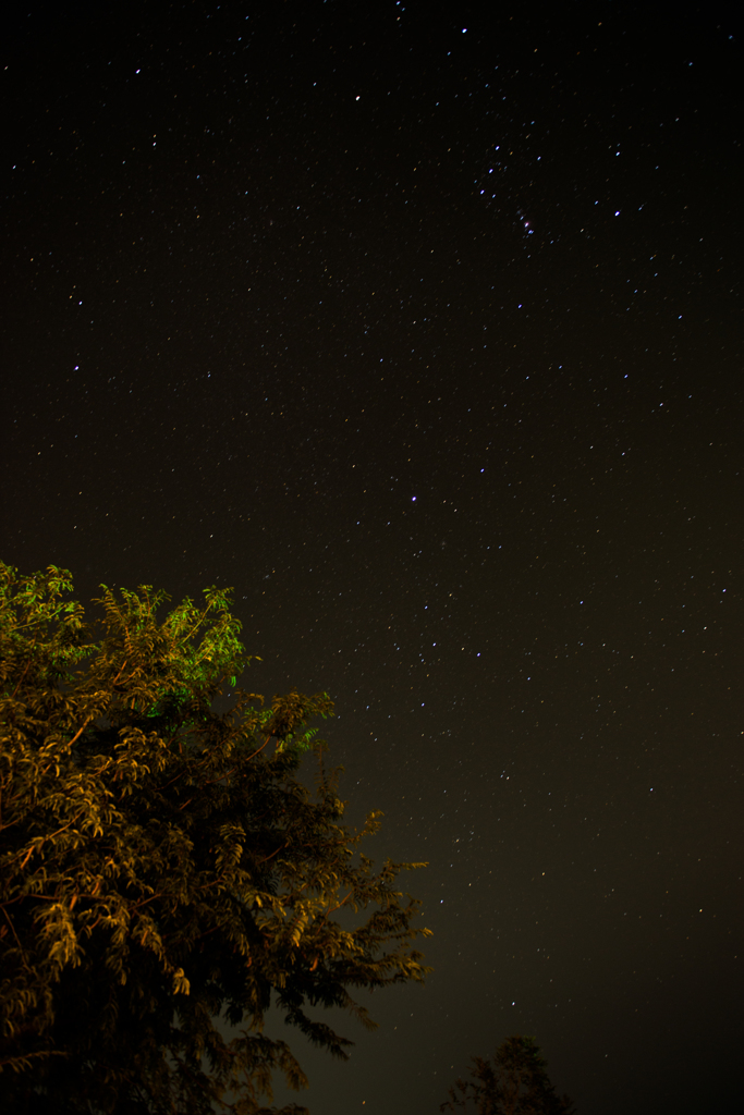 熱帯の星空
