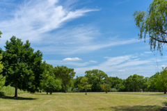 初夏の公園