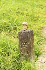 岡山とダンボー
