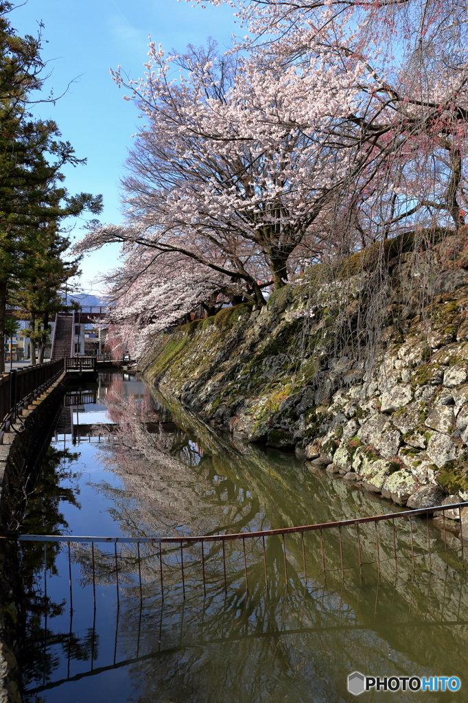 高島城春の陣　2