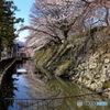 高島城春の陣　2