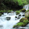 複雑に混じり合う