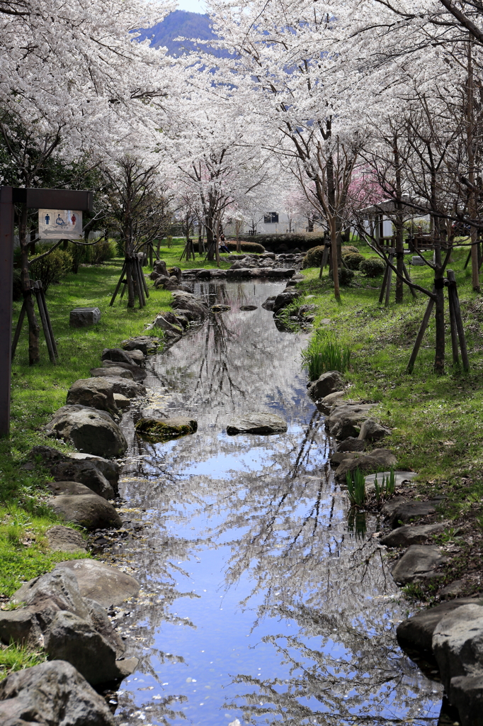 ある日の公園