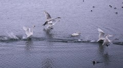 弾丸トラベラーズ