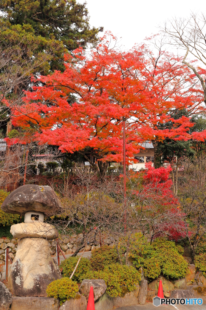 元善光寺　紅葉　