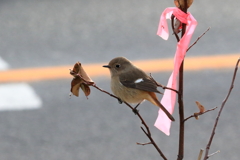 ひしぶり～