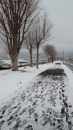 やっと雪景色