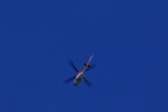 ご無事をお祈り申し上げます (3)