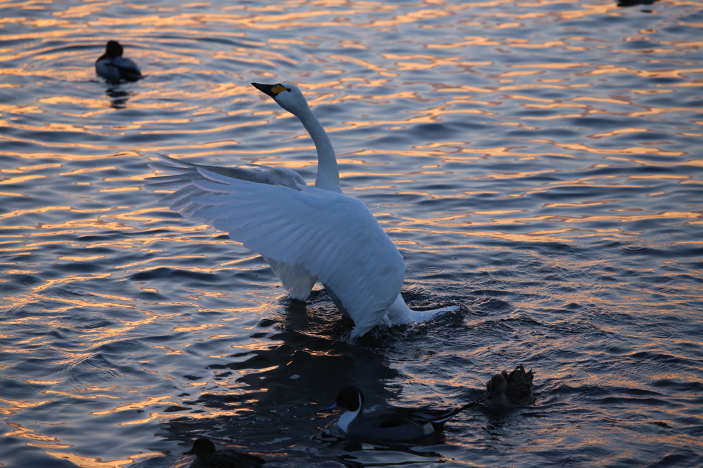 2014　今年も皆さんに感謝です