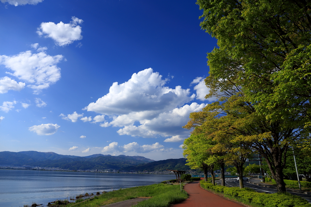 青空に誘われて (5)