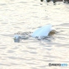 ぼく　ドザエモンもん