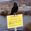 まもりましょう