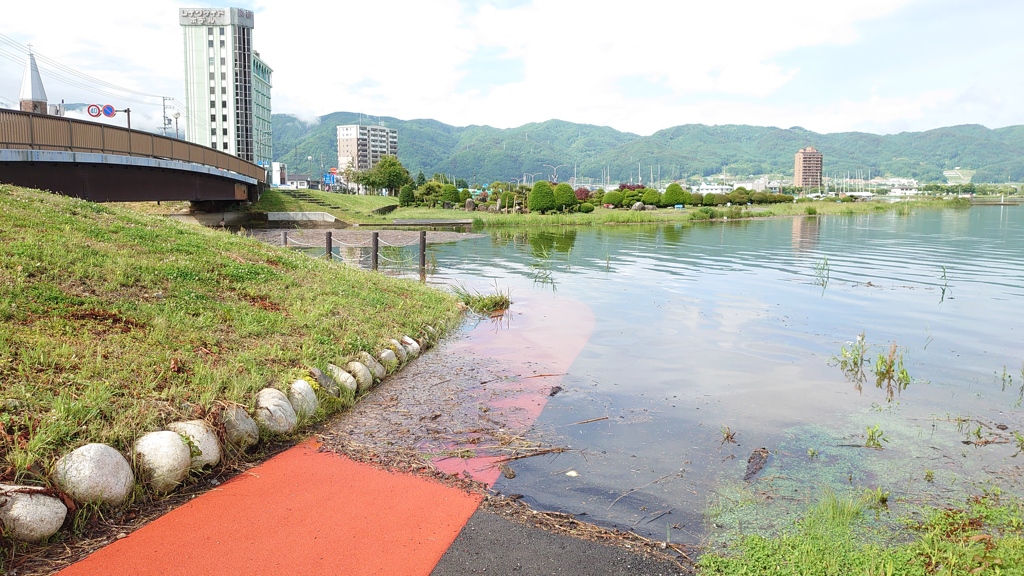 散歩道が水没