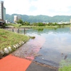 散歩道が水没