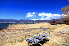 午後は散歩日和　風は冷たし