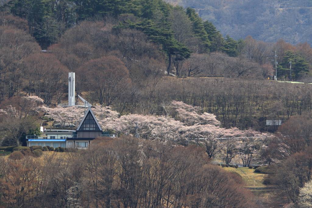 山にも春