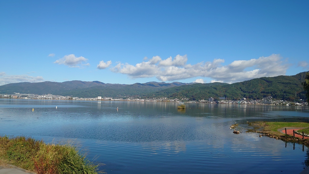 1ヶ月ぶりの外出