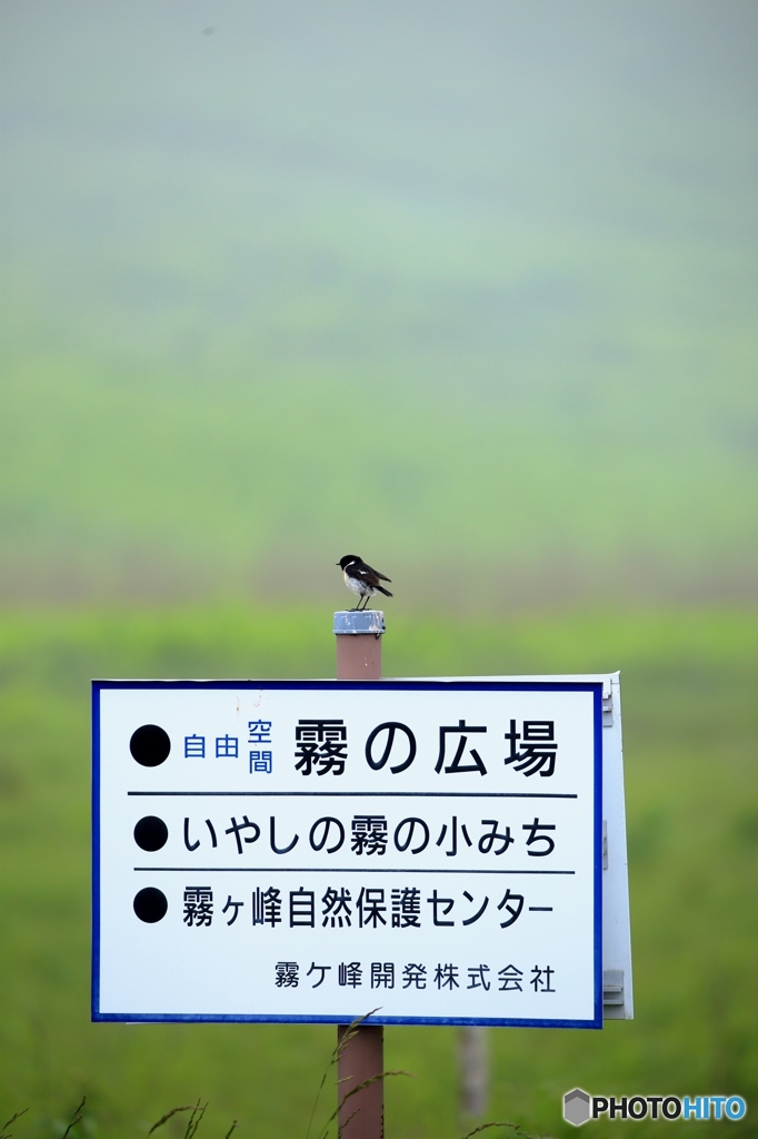保護区だも～～ん
