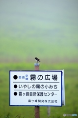 保護区だも～～ん