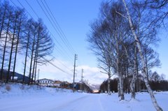 Snow　Road
