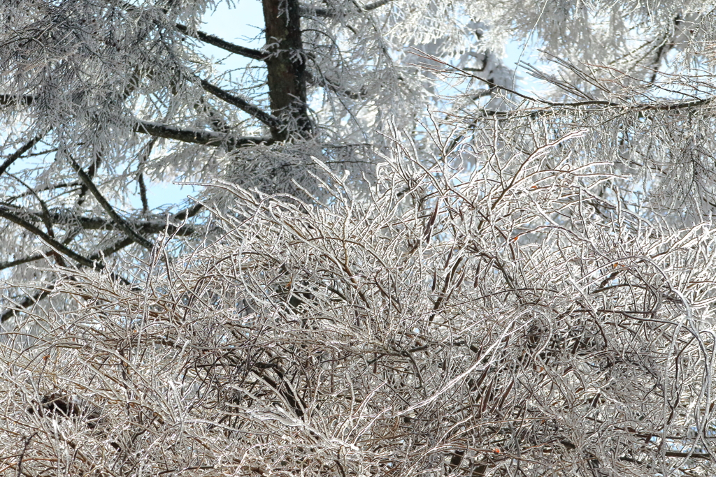 雪ではなく凍ってるのか？