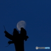 the moon-splashed 