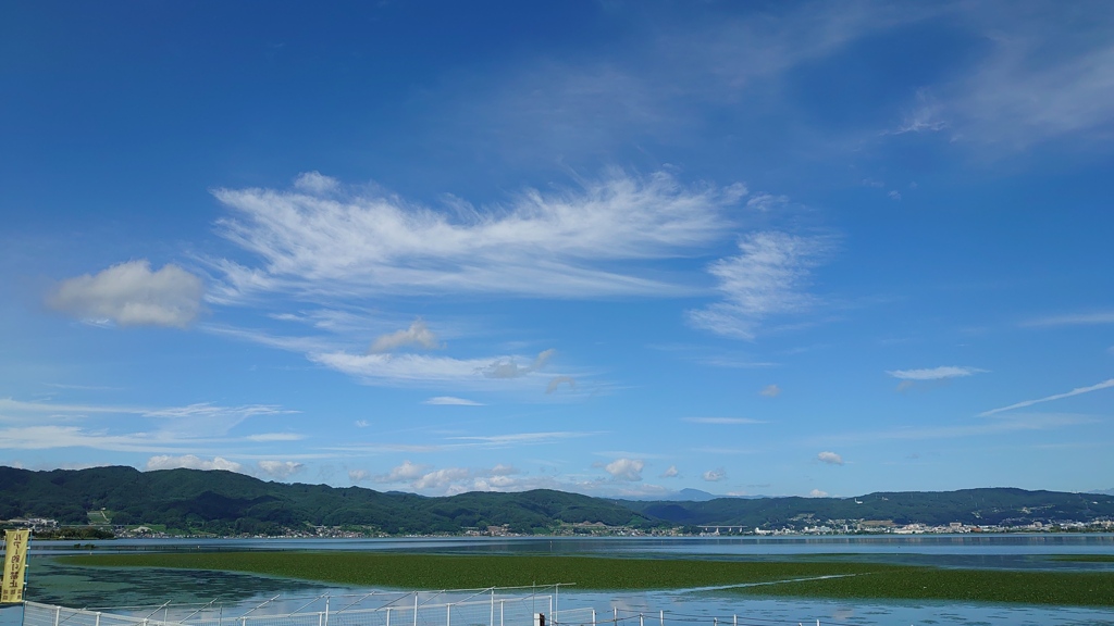 魚の骨？