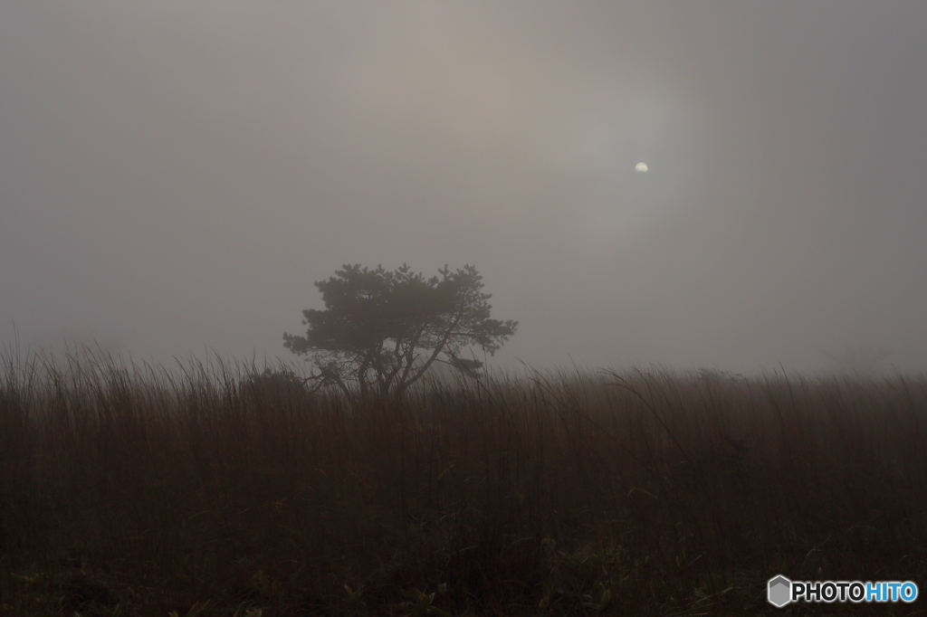 高ボッチとは相性が悪い
