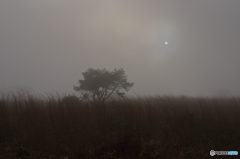 高ボッチとは相性が悪い