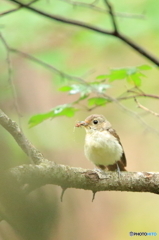 どこ行っちゃったの？