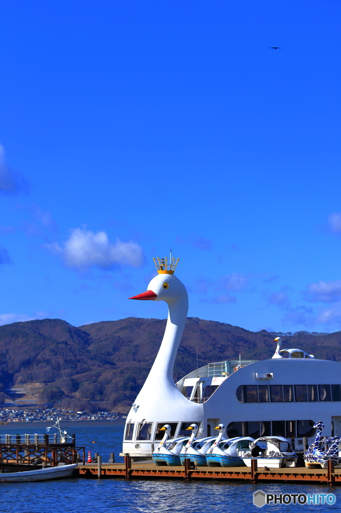 散歩日和の午後