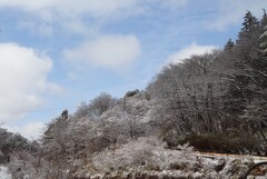 雪よく降ったな～？