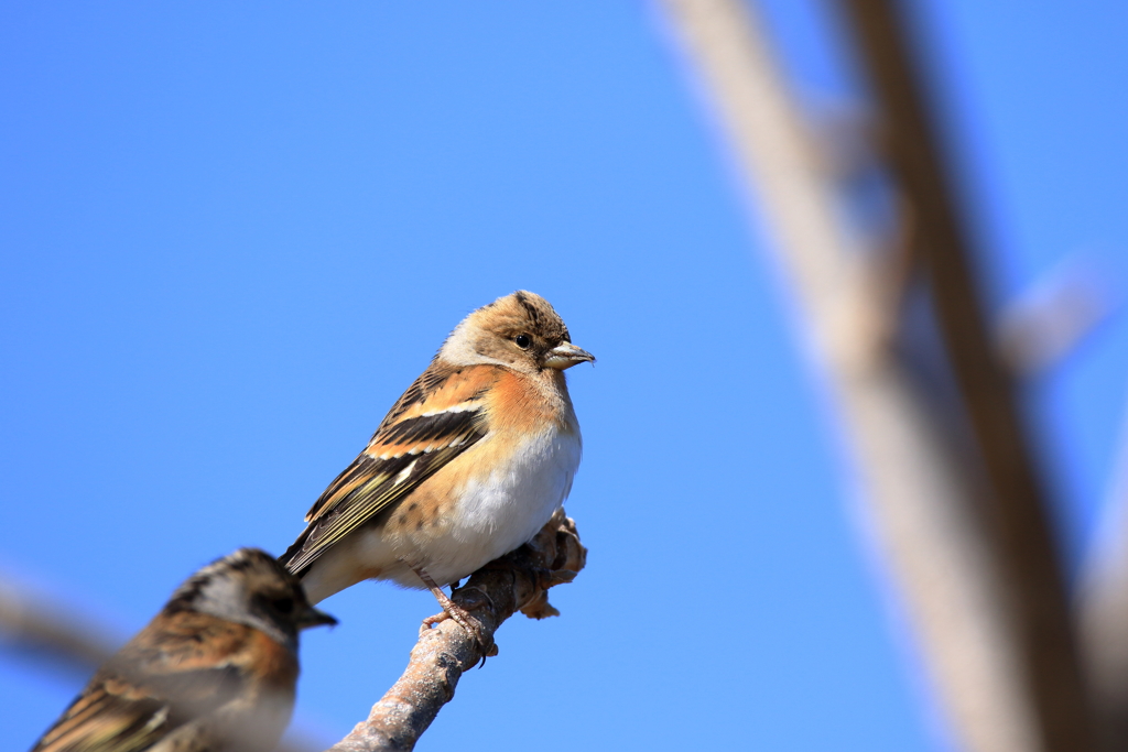 人生　底なし沼