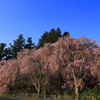 見納め