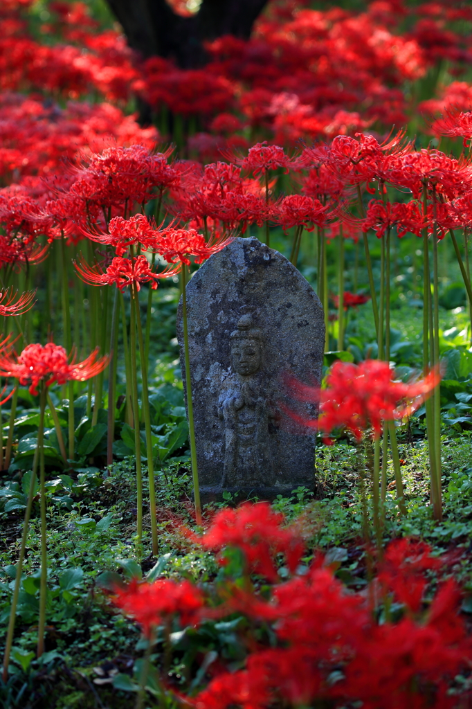 少しの間お地蔵様も華やかに
