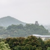 2年連続　雨の犬山城