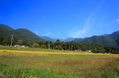 連休最終日も快晴