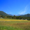 連休最終日も快晴