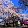 天守閣のかくれんぼ