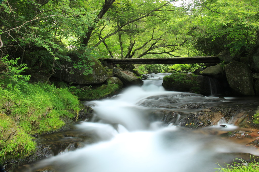 Fast flowing stream