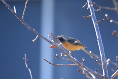 覗き見