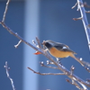 覗き見