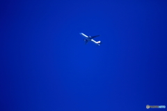 JA8399